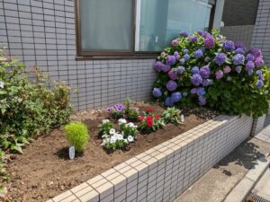 ほのぼの荘足立の園芸部員です。