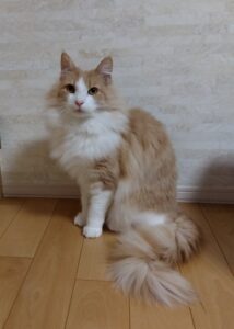 笑顔に救われる