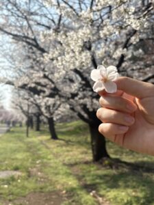 春の幸せな景色