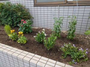 足立の花壇