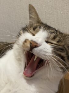 生まれてきてくれてありがとう